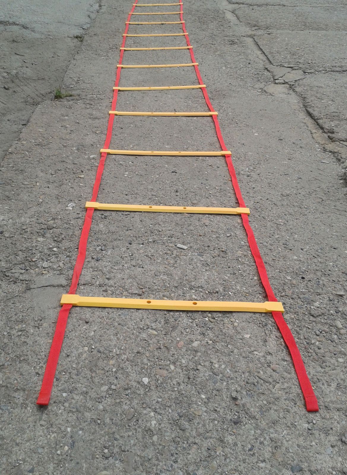 Agility žebřík 6m, BEAR FOOT BEARFOOT