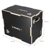 HMS DSC03 plyo box
