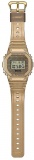 Hodinky CASIO G-Shock DWE 5600HG-1er