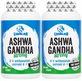 LIONLAB, Ashwagandha Strong XXL, 360 kapslí