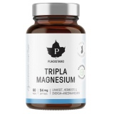 Puhdistamo Triple Magnesium, 60 kapslí