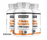 SURVIVAL, Tribulus Terrestris 90 Fair Power®, 180 kapslí