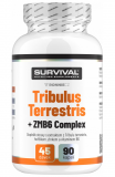 SURVIVAL, Tribulus Terrestris 90 Fair Power®, 90 kapslí